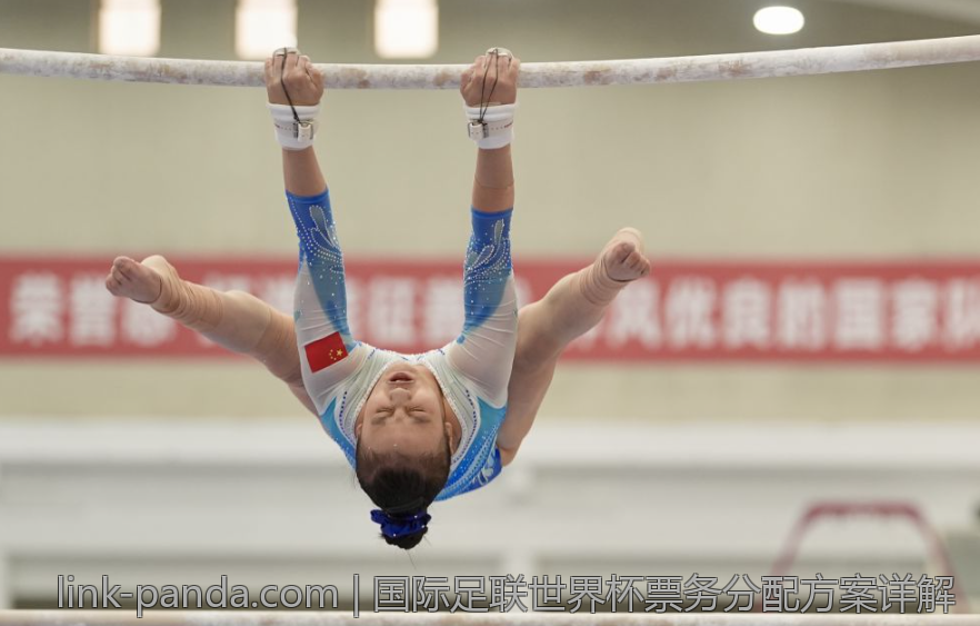 国际足联世界杯票务分配方案详解