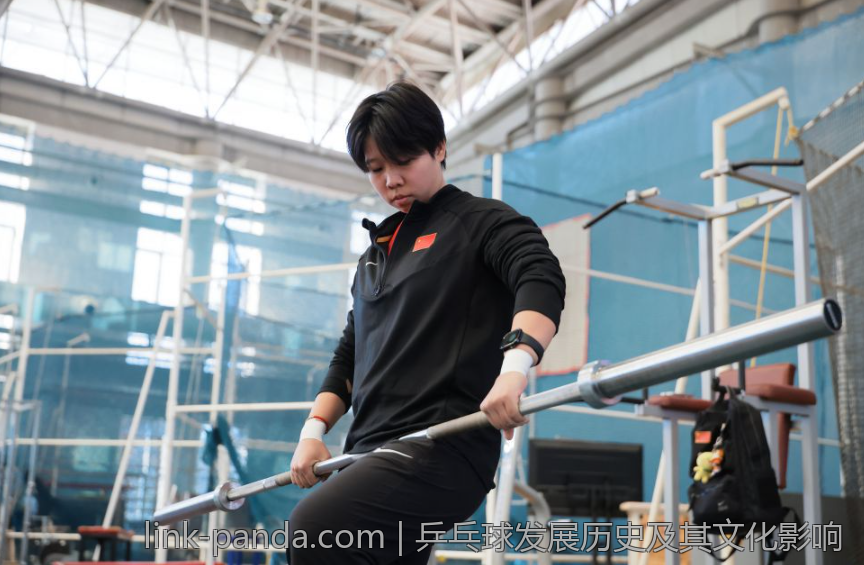 乒乓球发展历史及其文化影响