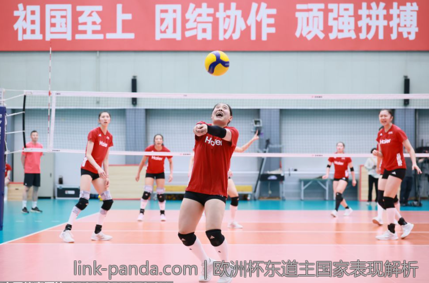 欧洲杯东道主国家表现解析