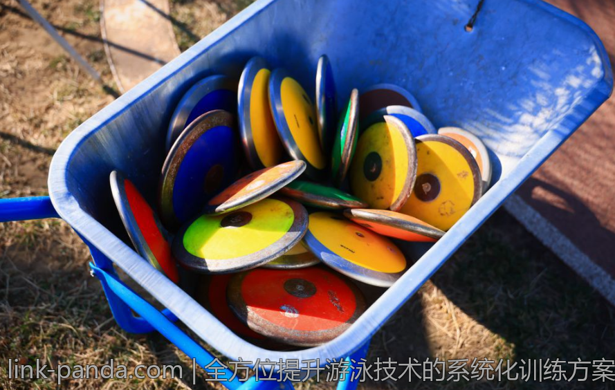 全方位提升游泳技术的系统化训练方案