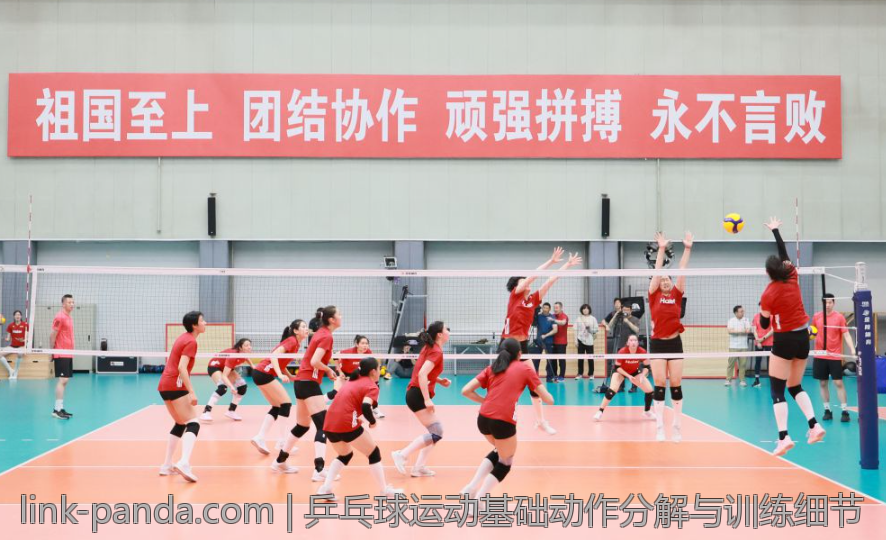 CBA球队教练团队组成及职责分工